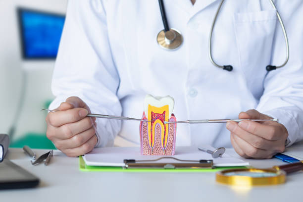 Best Emergency Dentist for Lost Fillings or Crowns in Lynn, IN